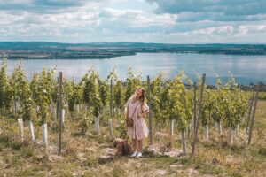 CzechSpiration Wineyeards